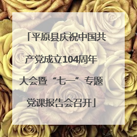 平原县庆祝中国共产党成立104周年大会暨“七一”专题党课报告会召开
