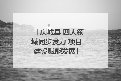 庆城县 四大领域同步发力 项目建设赋能发展