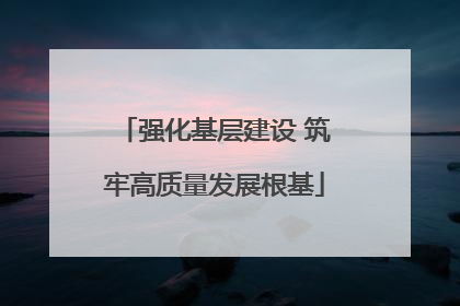 强化基层建设 筑牢高质量发展根基