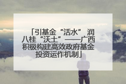 引基金“活水” 润八桂“沃土”——广西积极构建高效政府基金投资运作机制