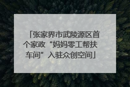 张家界市武陵源区首个家政“妈妈零工帮扶车间”入驻众创空间