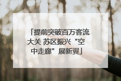 提前突破百万客流大关 苏区振兴“空中走廊”展新翼