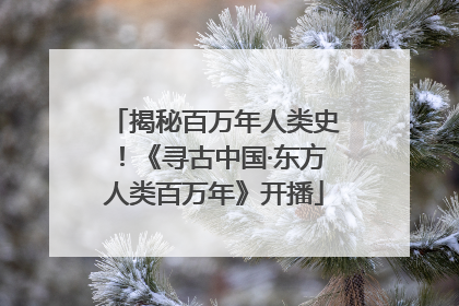 揭秘百万年人类史！《寻古中国·东方人类百万年》开播