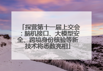 探营第十一届上交会：脑机接口、大模型安全、跨境身份核验等新技术将悉数亮相