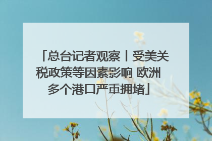 总台记者观察丨受美关税政策等因素影响 欧洲多个港口严重拥堵