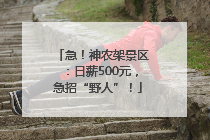 急！神农架景区：日薪500元，急招“野人”！