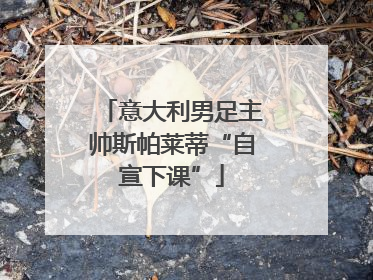意大利男足主帅斯帕莱蒂“自宣下课”