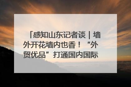 感知山东记者谈｜墙外开花墙内也香！“外贸优品”打通国内国际市场“旋转门”