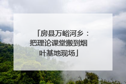 房县万峪河乡：把理论课堂搬到烟叶基地现场