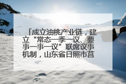成立油桃产业链，建立“常态一季一议、要事一事一议”联席议事机制，山东省日照市莒县果庄镇——13个党小组“全周期”育果