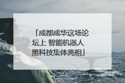 成都成华这场论坛上 智能机器人黑科技集体亮相