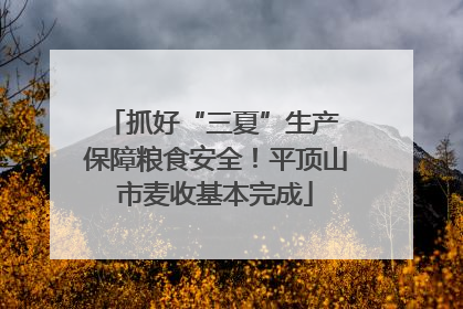 抓好“三夏”生产 保障粮食安全！平顶山市麦收基本完成