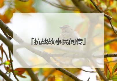 抗战故事民间传