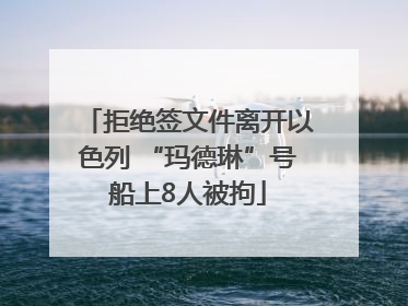 拒绝签文件离开以色列 “玛德琳”号船上8人被拘