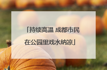 持续高温 成都市民在公园里戏水纳凉