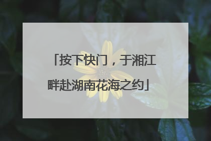 按下快门，于湘江畔赴湖南花海之约
