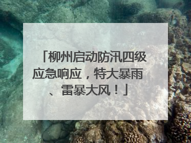 柳州启动防汛四级应急响应，特大暴雨、雷暴大风！