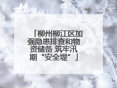 柳州柳江区加强隐患排查和物资储备 筑牢汛期“安全堤”