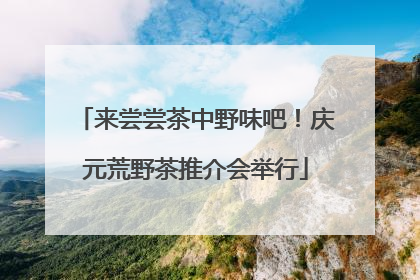 来尝尝茶中野味吧！庆元荒野茶推介会举行
