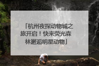杭州夜探动物城之旅开启！快来荧光森林邂逅明星动物