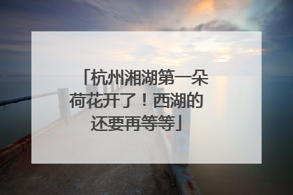 杭州湘湖第一朵荷花开了！西湖的还要再等等