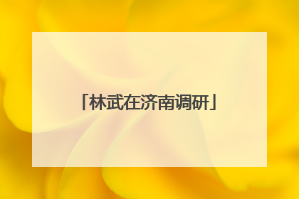林武在济南调研