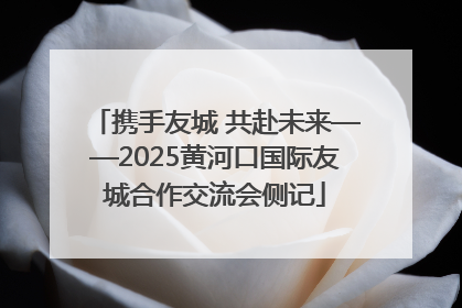 携手友城 共赴未来——2025黄河口国际友城合作交流会侧记