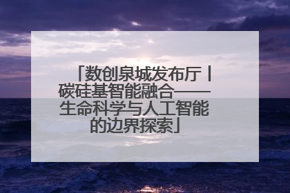 数创泉城发布厅丨碳硅基智能融合——生命科学与人工智能的边界探索