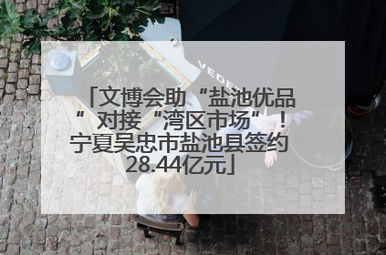 文博会助“盐池优品”对接“湾区市场”！宁夏吴忠市盐池县签约28.44亿元