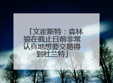 文霍斯特：森林狼在截止日前非常认真地想要交易得到杜兰特