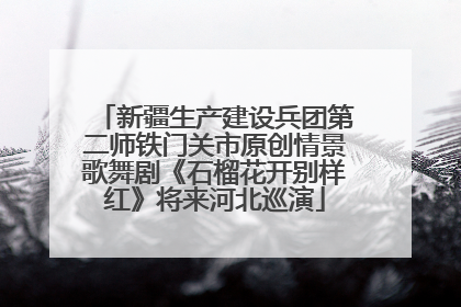 新疆生产建设兵团第二师铁门关市原创情景歌舞剧《石榴花开别样红》将来河北巡演