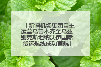 新疆机场集团自主运营乌鲁木齐至乌兹别克斯坦纳沃伊国际货运航线成功首航