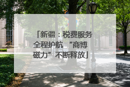 新疆：税费服务全程护航 “商博磁力”不断释放