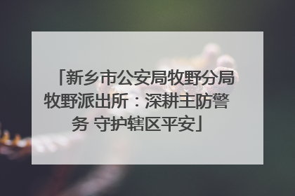新乡市公安局牧野分局牧野派出所：深耕主防警务 守护辖区平安