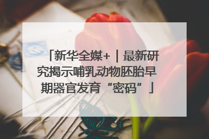 新华全媒+｜最新研究揭示哺乳动物胚胎早期器官发育“密码”