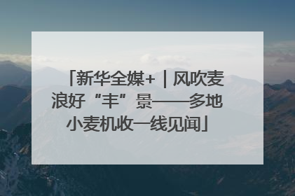 新华全媒+｜风吹麦浪好“丰”景——多地小麦机收一线见闻