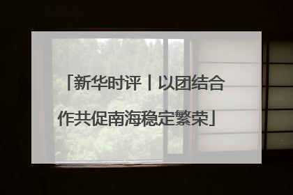 新华时评丨以团结合作共促南海稳定繁荣
