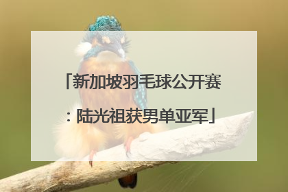 新加坡羽毛球公开赛：陆光祖获男单亚军