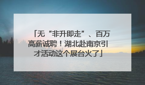 无“非升即走”、百万高薪诚聘！湖北赴南京引才活动这个展台火了