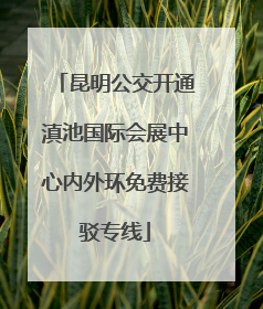 昆明公交开通滇池国际会展中心内外环免费接驳专线