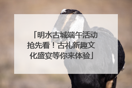 明水古城端午活动抢先看！古礼新趣文化盛宴等你来体验