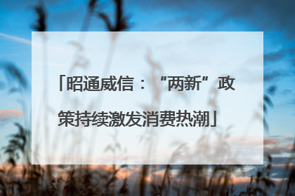 昭通威信：“两新”政策持续激发消费热潮