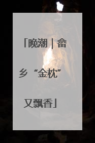 晚潮｜畲乡“金枕”又飘香