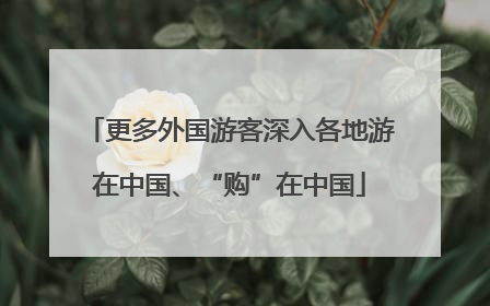 更多外国游客深入各地游在中国、“购”在中国