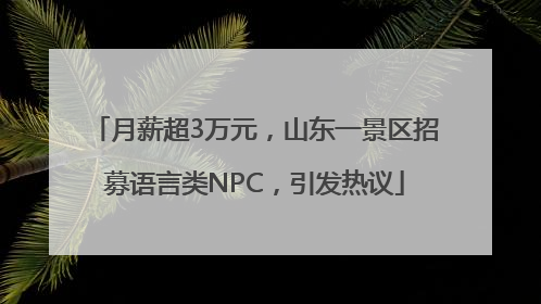 月薪超3万元，山东一景区招募语言类NPC，引发热议
