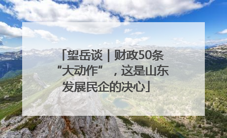 望岳谈｜财政50条“大动作”，这是山东发展民企的决心
