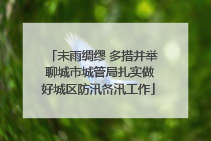 未雨绸缪 多措并举 聊城市城管局扎实做好城区防汛备汛工作