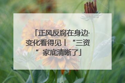 正风反腐在身边·变化看得见丨“三资”家底清晰了