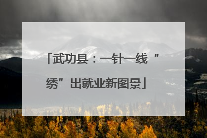 武功县：一针一线“绣”出就业新图景