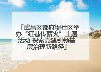 武昌区都府堤社区举办“红巷传薪火”主题活动 探索党建引领基层治理新路径